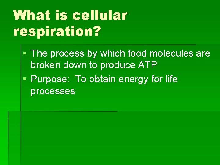 What is cellular respiration? § The process by which food molecules are broken down