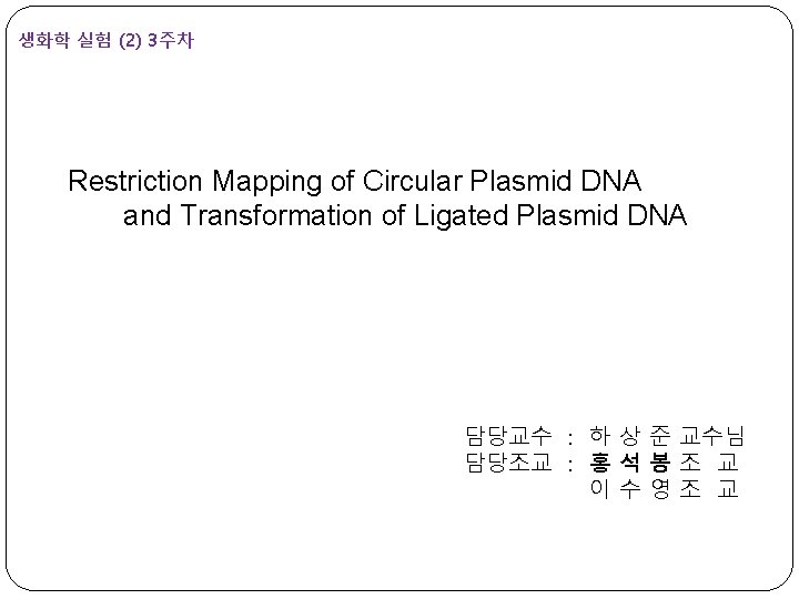 생화학 실험 (2) 3주차 Restriction Mapping of Circular Plasmid DNA and Transformation of Ligated