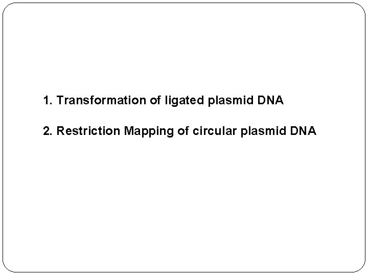 1. Transformation of ligated plasmid DNA 2. Restriction Mapping of circular plasmid DNA 