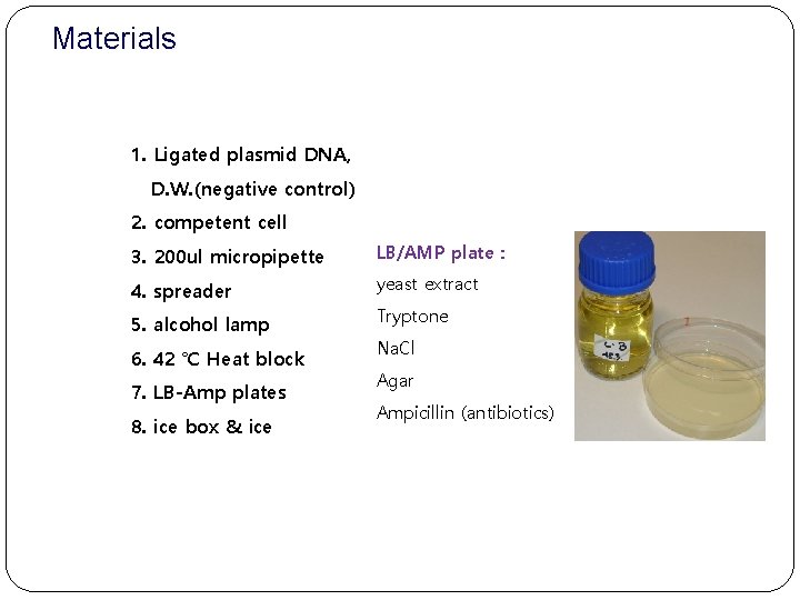Materials 1. Ligated plasmid DNA, D. W. (negative control) 2. competent cell 3. 200