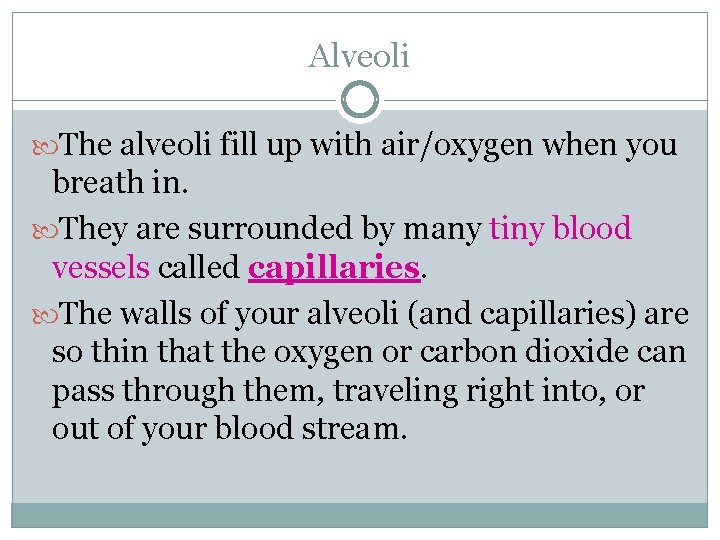 Alveoli The alveoli fill up with air/oxygen when you breath in. They are surrounded