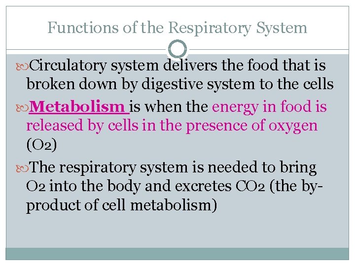 Functions of the Respiratory System Circulatory system delivers the food that is broken down