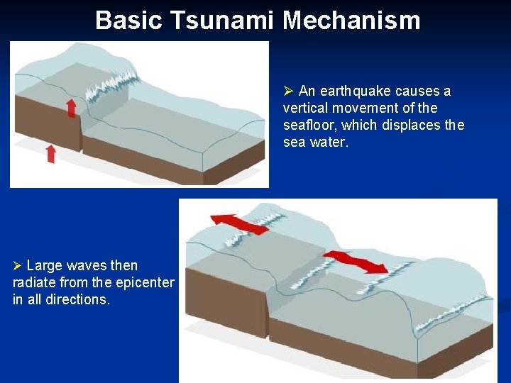 Basic Tsunami Mechanism Ø An earthquake causes a vertical movement of the seafloor, which