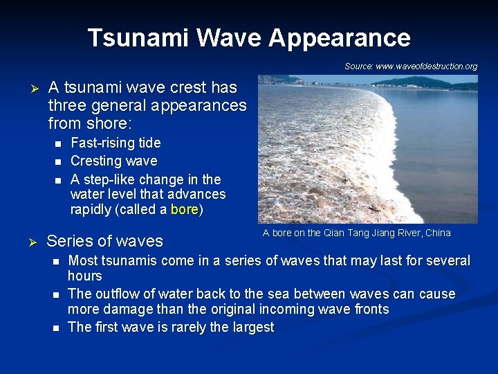 Tsunami Wave Appearance Source: www. waveofdestruction. org Ø A tsunami wave crest has three
