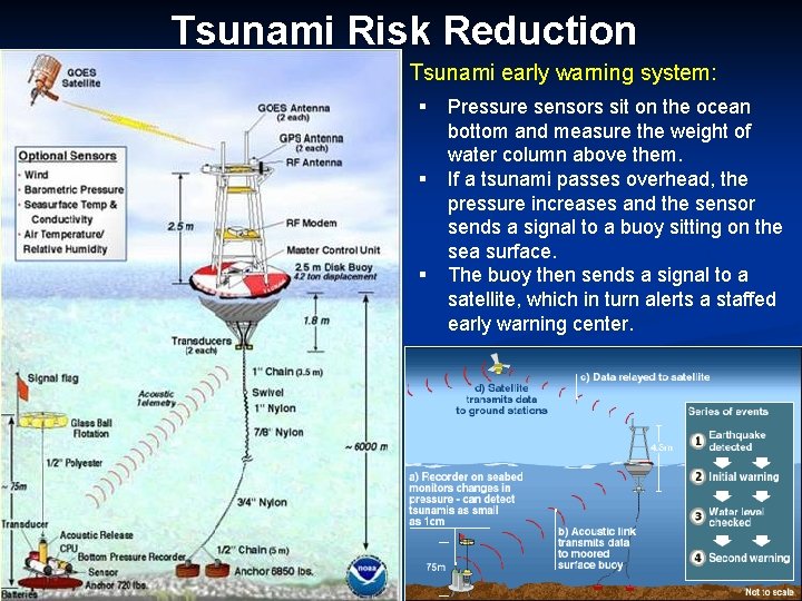 Tsunami Risk Reduction Tsunami early warning system: § § § Pressure sensors sit on