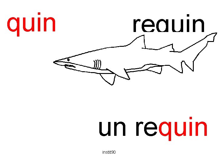 quin requin un requin instit 90 