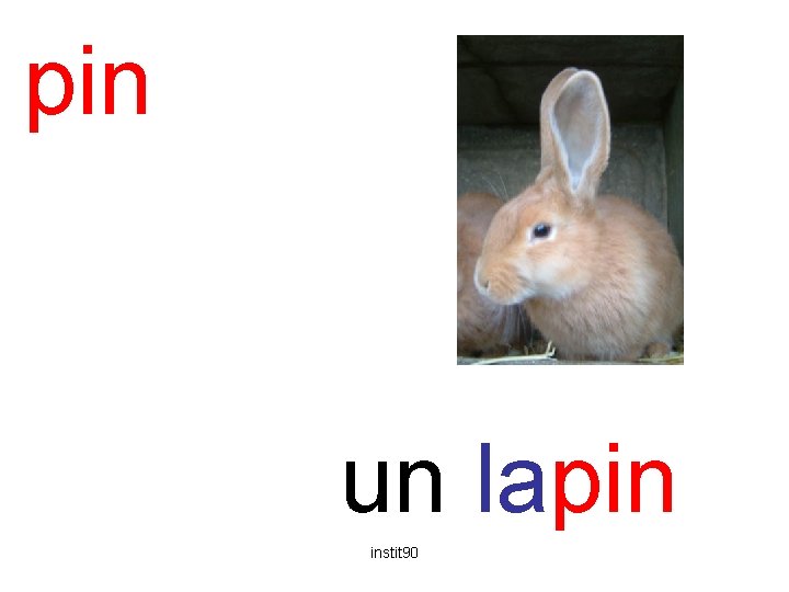 pin lapin un lapin instit 90 