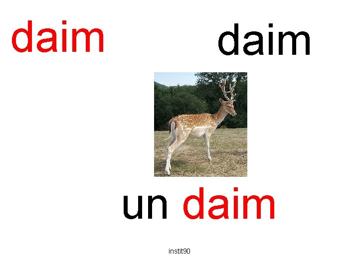 daim un daim instit 90 
