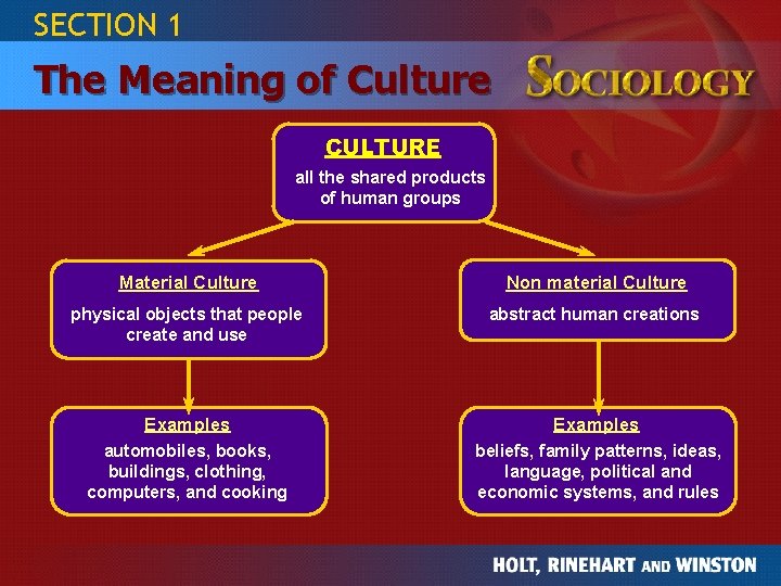 SECTION 1 The Meaning of Culture CULTURE all the shared products of human groups