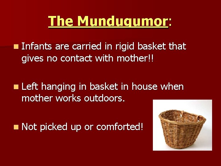 The Mundugumor: n Infants are carried in rigid basket that gives no contact with