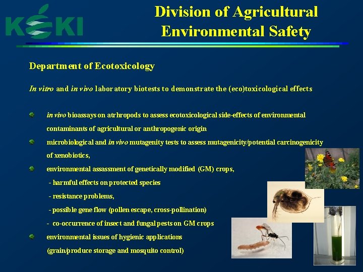 Division of Agricultural Environmental Safety Department of Ecotoxicology In vitro and in vivo laboratory