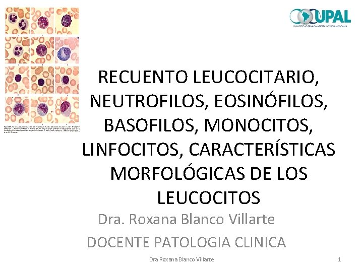RECUENTO LEUCOCITARIO, NEUTROFILOS, EOSINÓFILOS, BASOFILOS, MONOCITOS, LINFOCITOS, CARACTERÍSTICAS MORFOLÓGICAS DE LOS LEUCOCITOS Dra. Roxana