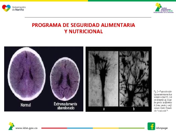 PROGRAMA DE SEGURIDAD ALIMENTARIA Y NUTRICIONAL 