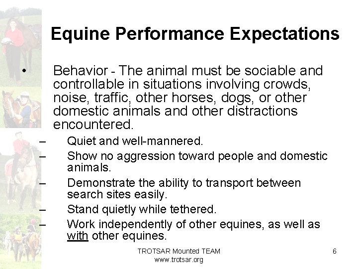 Equine Performance Expectations • Behavior - The animal must be sociable and controllable in