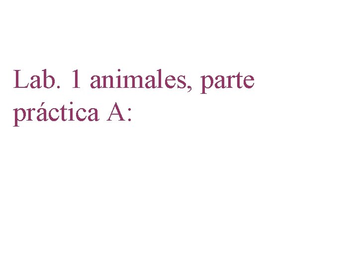 Lab. 1 animales, parte práctica A: 