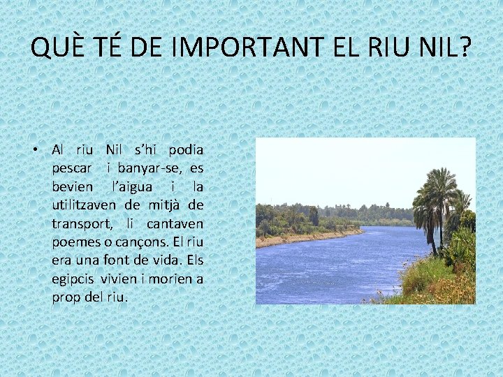 QUÈ TÉ DE IMPORTANT EL RIU NIL? • Al riu Nil s’hi podia pescar