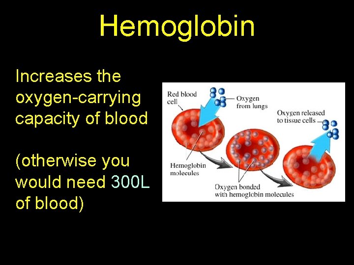 Hemoglobin Increases the oxygen-carrying capacity of blood (otherwise you would need 300 L of