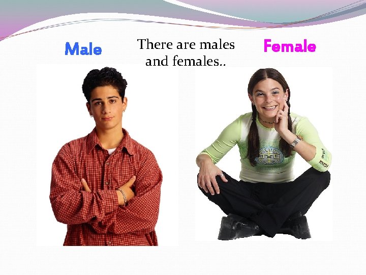 Male There are males and females. . Female Male There are males and females. . Female