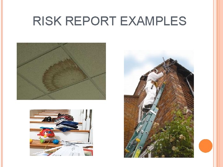 RISK REPORT EXAMPLES 