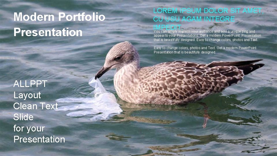Modern Portfolio Presentation LOREM IPSUM DOLOR SIT AMET, CU USU AGAM INTEGRE IMPEDIT. You Modern Portfolio Presentation LOREM IPSUM DOLOR SIT AMET, CU USU AGAM INTEGRE IMPEDIT. You