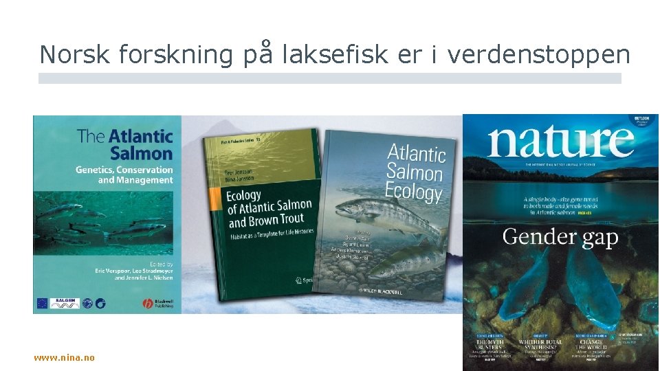 Norsk forskning på laksefisk er i verdenstoppen www. nina. no 