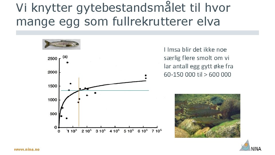 Vi knytter gytebestandsmålet til hvor mange egg som fullrekrutterer elva I Imsa blir det