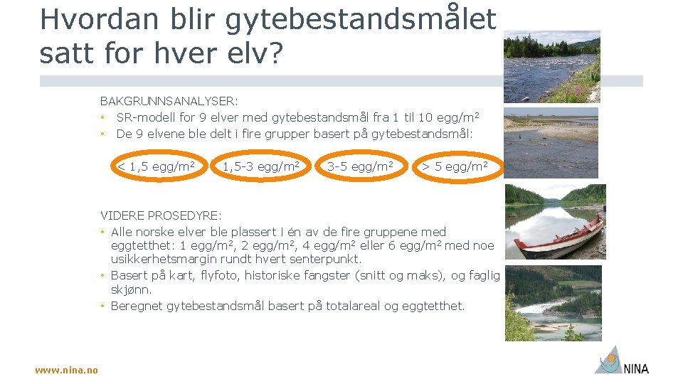 Hvordan blir gytebestandsmålet satt for hver elv? BAKGRUNNSANALYSER: • SR-modell for 9 elver med