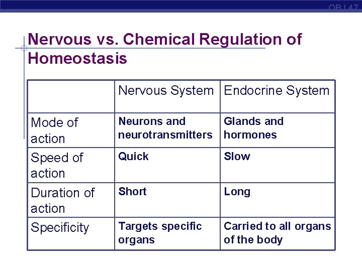OBJ 47 Nervous vs. Chemical Regulation of Homeostasis Nervous System Endocrine System Mode of