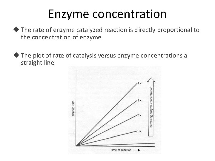 Enzyme concentration The rate of enzyme catalyzed reaction is directly proportional to the concentration