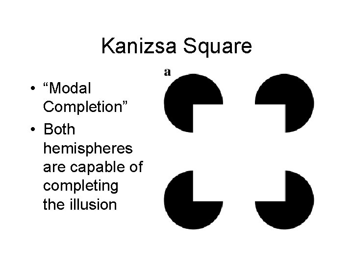 Kanizsa Square • “Modal Completion” • Both hemispheres are capable of completing the illusion