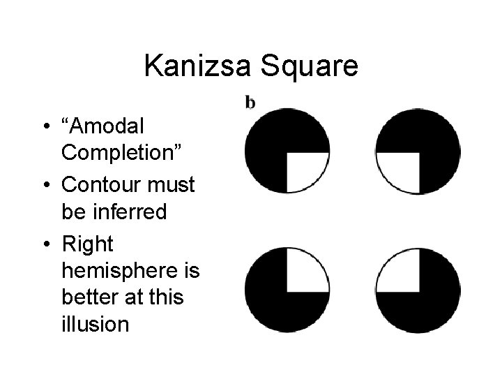 Kanizsa Square • “Amodal Completion” • Contour must be inferred • Right hemisphere is