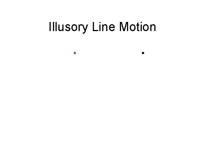 Illusory Line Motion 