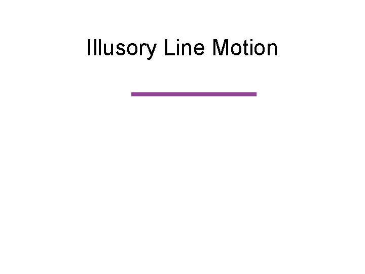 Illusory Line Motion 