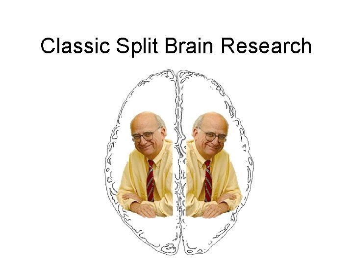 Classic Split Brain Research 