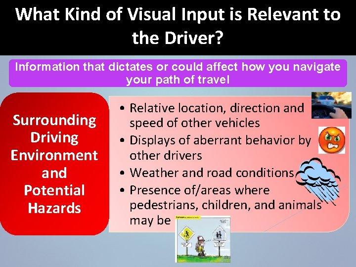 What Kind of Visual Input is Relevant to the Driver? Information that dictates or