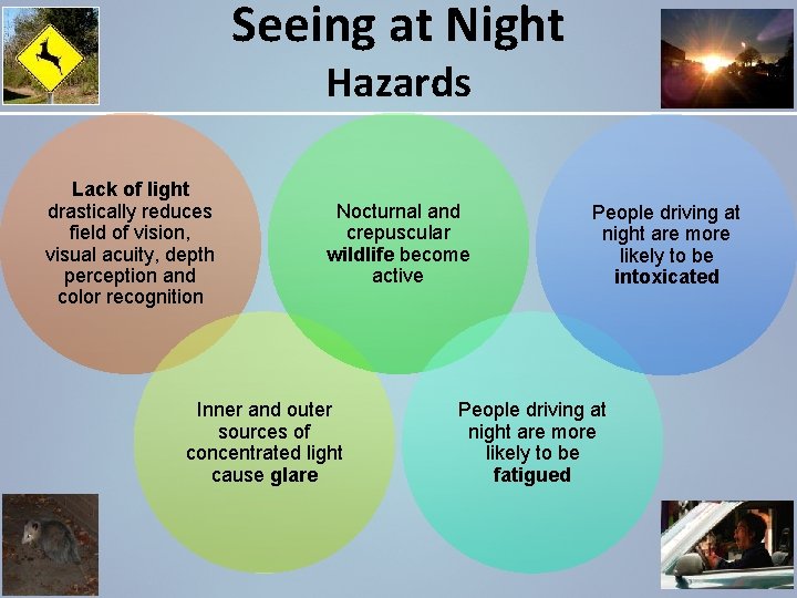 Seeing at Night Hazards Lack of light drastically reduces field of vision, visual acuity,