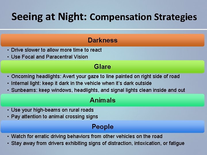 Seeing at Night: Compensation Strategies Darkness • Drive slower to allow more time to