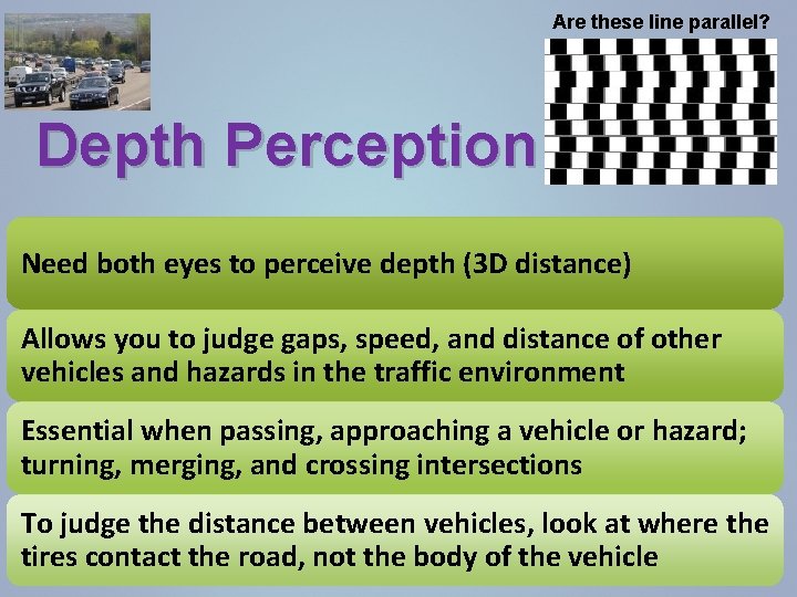 Are these line parallel? Depth Perception Need both eyes to perceive depth (3 D