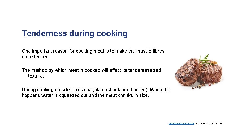 Tenderness during cooking One important reason for cooking meat is to make the muscle