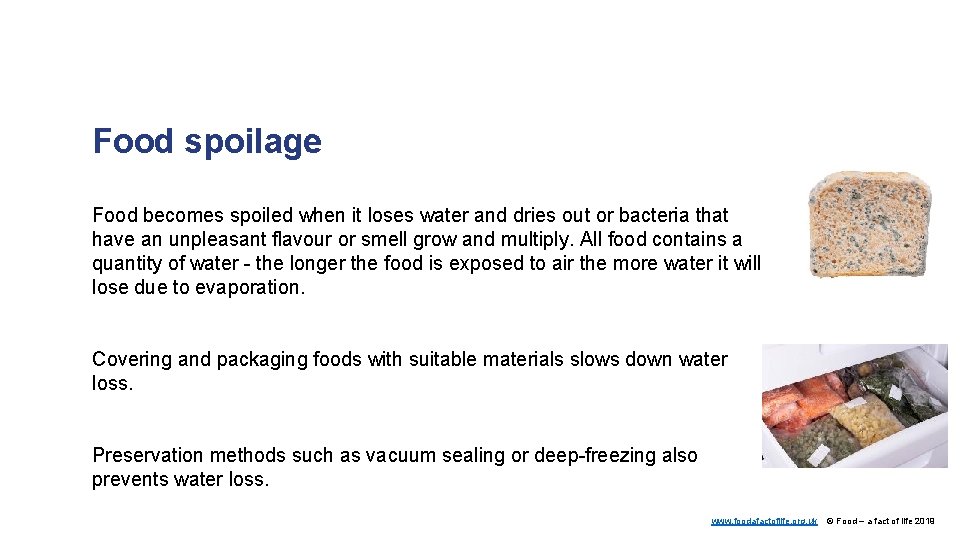Food spoilage Food becomes spoiled when it loses water and dries out or bacteria