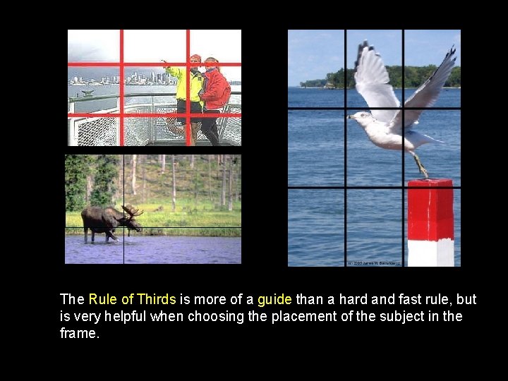 The Rule of Thirds is more of a guide than a hard and fast