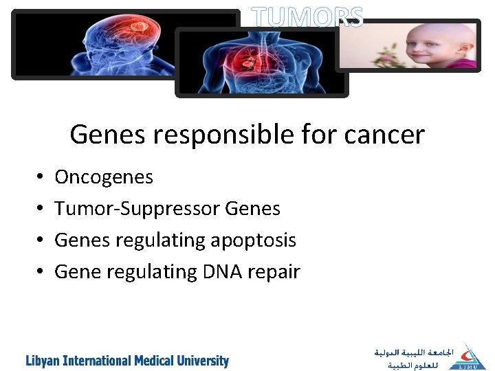 TUMORS Genes responsible for cancer • • Oncogenes Tumor-Suppressor Genes regulating apoptosis Gene regulating