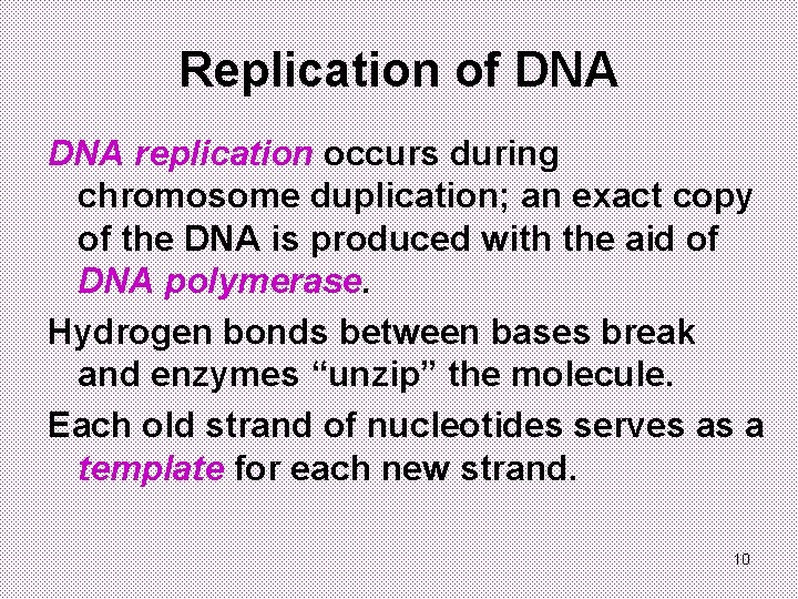 Replication of DNA replication occurs during chromosome duplication; an exact copy of the DNA
