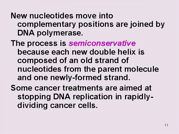 New nucleotides move into complementary positions are joined by DNA polymerase. The process is