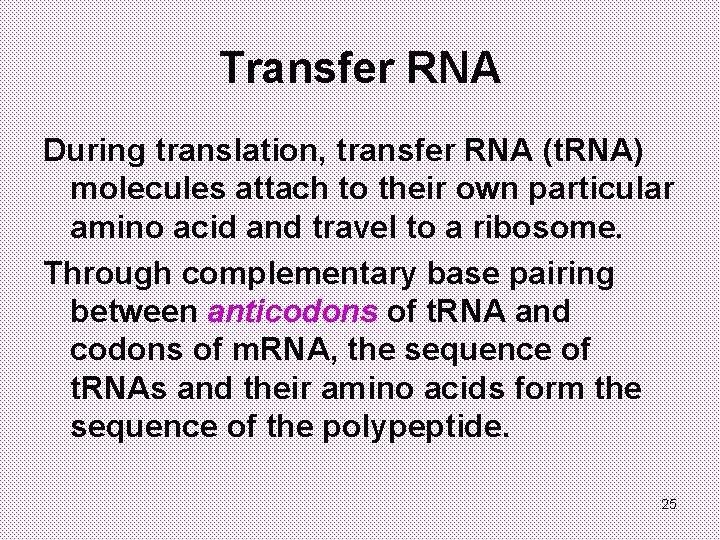 Transfer RNA During translation, transfer RNA (t. RNA) molecules attach to their own particular