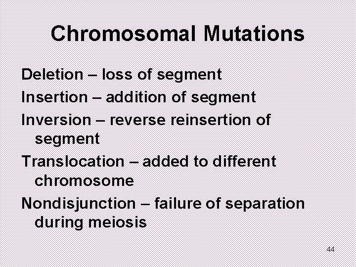 Chromosomal Mutations Deletion – loss of segment Insertion – addition of segment Inversion –