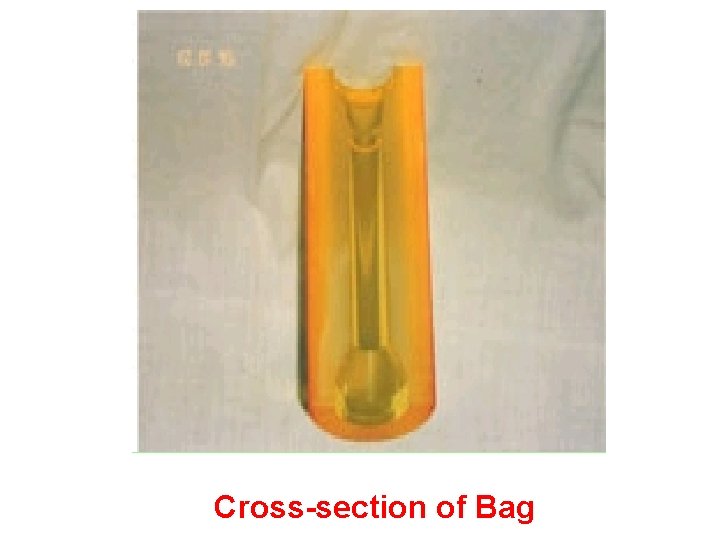 Cross-section of Bag 