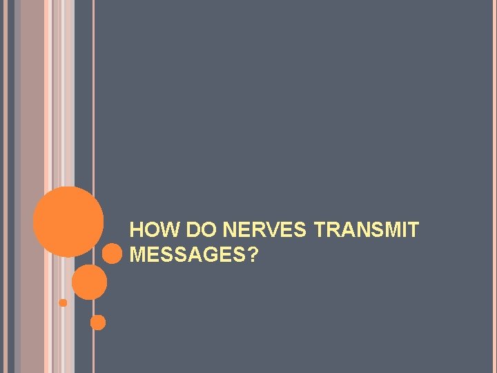 HOW DO NERVES TRANSMIT MESSAGES? 