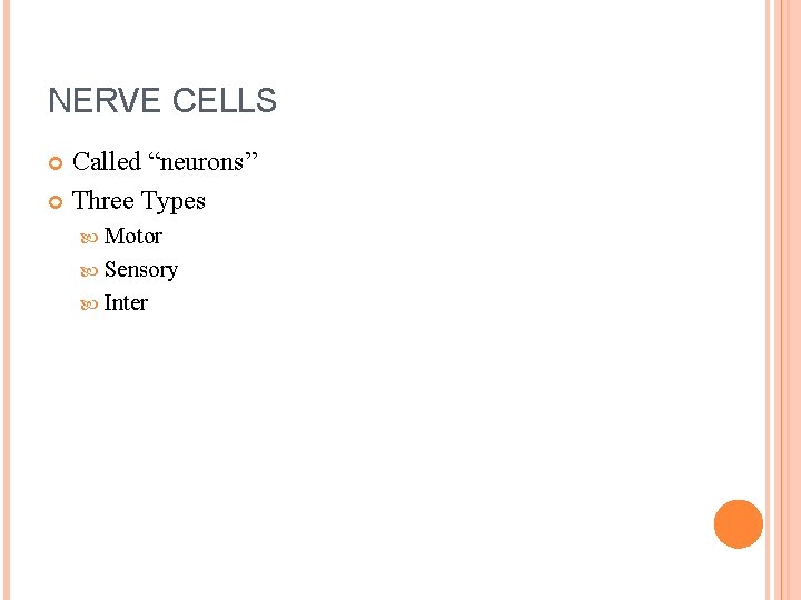 NERVE CELLS Called “neurons” Three Types Motor Sensory Inter 