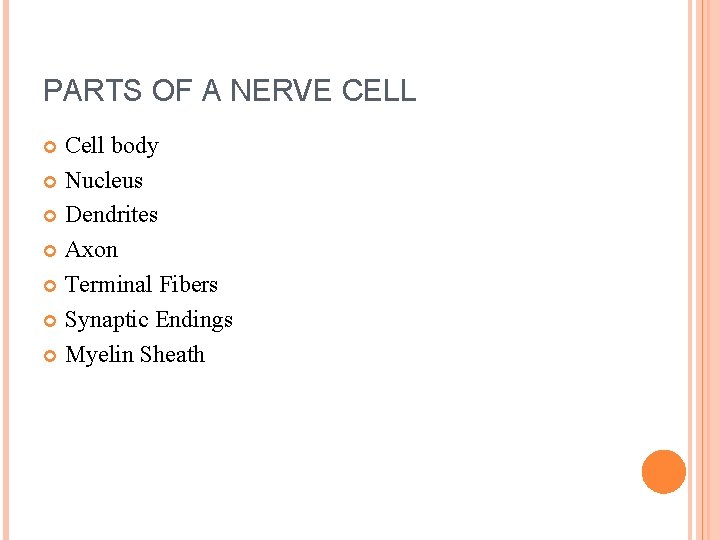 PARTS OF A NERVE CELL Cell body Nucleus Dendrites Axon Terminal Fibers Synaptic Endings